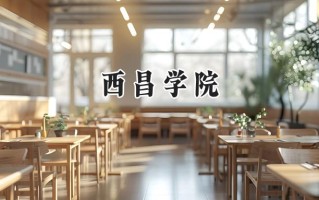 西昌学院2024在福建录取分数线是多少？最低466分/最高519分