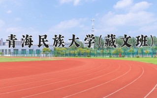 青海民族大学(藏文班)学费多少钱一年：4500-5500元/年（2025填报参考）