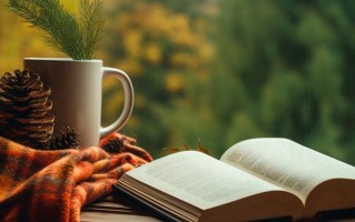 2025年聊城大学东昌学院在广东计划招生人数（附学费及专业录取分）