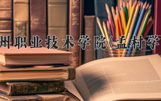2024年沧州职业技术学院(孟村学院)录取分数线，河北最低378分