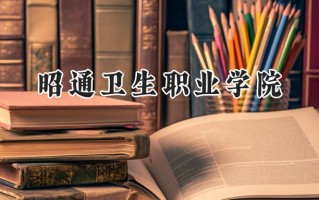 2024昭通卫生职业学院录取分数线：宁夏最低317分