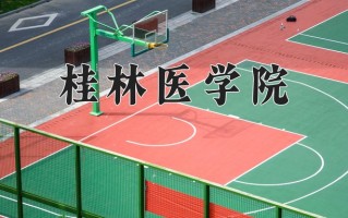 2024桂林医学院录取分数线，重庆录取最低分476