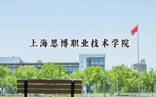 上海思博职业技术学院2024在上海录取分数线是多少？最低110分/最高242分