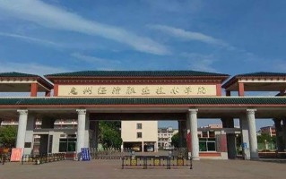 2024年惠州经济职业技术学院录取分数线，青海最低195分