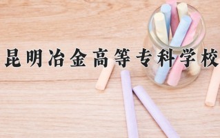 2024昆明冶金高等专科学校录取分数线：浙江最低417分