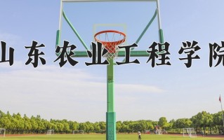 2024山东农业工程学院录取分数线，重庆录取最低分493