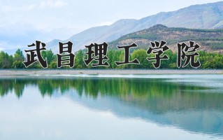 2024武昌理工学院录取分数线：浙江最低382分