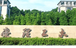重庆理工大学王牌专业排名-含2024年全国各省录取最低分数线