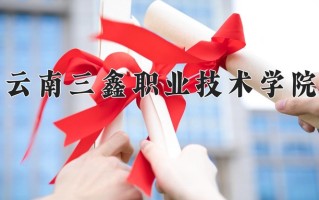 2024云南三鑫职业技术学院录取分数线：浙江最低269分