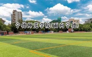 宁德师范学院(面向宁德)2024在福建录取分数线是多少？最低454分/最高533分