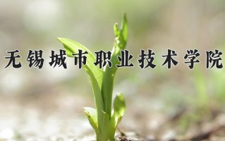 宁夏305分能上什么大学？附2025年可以报考的大学名单