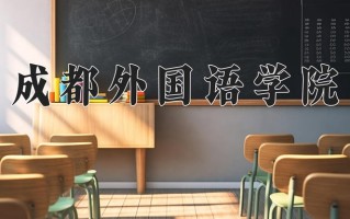 2024年成都外国语学院录取分数线，宁夏最低297分