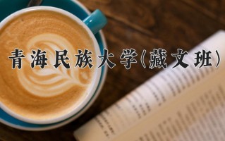 2024年青海民族大学(藏文班)录取分数线，青海最低435分