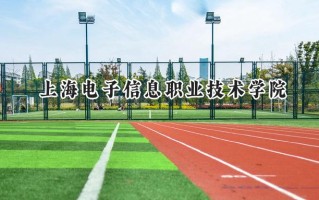 2024上海电子信息职业技术学院录取分数线：江苏最低428分