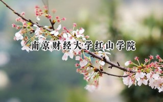 南京财经大学红山学院2024在福建录取分数线是多少？最低451分/最高507分