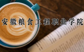 粮食储运与质量安全专业2025年广东招生院校有哪些？含学费及招生人数