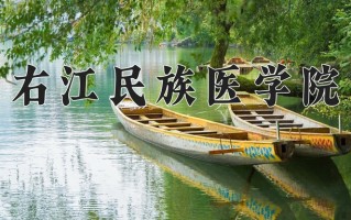 右江民族医学院王牌专业排名-含2024年全国各省录取最低分数线