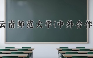 2024云南师范大学(中外合作)录取分数线，重庆录取最低分503