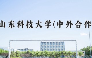 山东科技大学(中外合作)学费多少钱一年：42000-55000元/年（2025填报参考）
