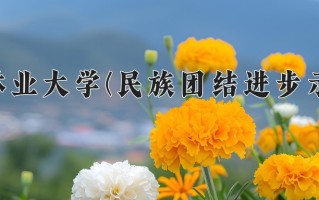 西南林业大学(民族团结进步示范班)学费多少钱一年：4000-4500元/年（2025填报参考）