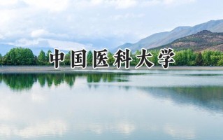 2024中国医科大学录取分数线：陕西最低593分