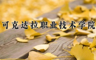 2025年可克达拉职业技术学院在新疆计划招生人数（附学费及专业录取分)
