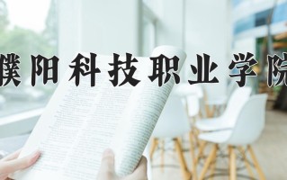 2024年濮阳科技职业学院录取分数线，青海最低208分