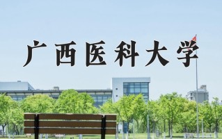 广西医科大学学费多少钱一年：4200-33000元/年（2025填报参考）