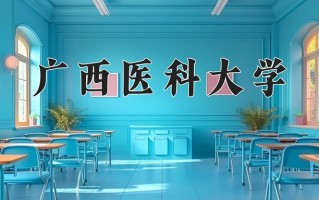 2024广西医科大学录取分数线：浙江最低480分