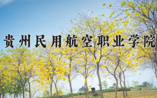 2024贵州民用航空职业学院录取分数线：浙江最低269分