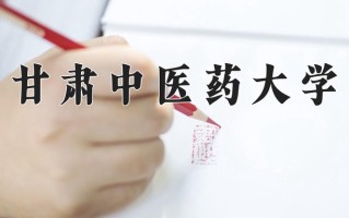 2024甘肃中医药大学录取分数线，重庆录取最低分500