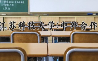 2024江苏科技大学(中外合作)录取分数线，重庆录取最低分513