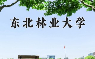 东北林业大学一年学费多少钱及各专业的收费标准(2025参考）