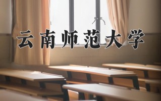 2024云南师范大学录取分数线：浙江最低489分