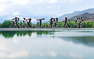 武汉工程大学全国排名（含武汉工程大学最强专业解析）
