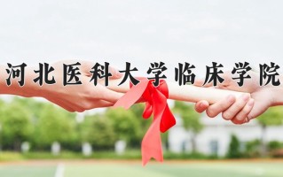 2024河北医科大学临床学院录取分数线，重庆录取最低分498