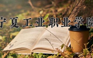 2024年宁夏工业职业学院录取分数线，内蒙古最低285分