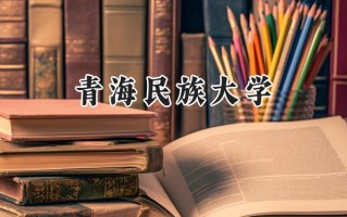 2024青海民族大学录取分数线：天津最低500分