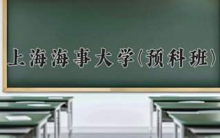 2024上海海事大学(预科班)录取分数线，重庆录取最低分542