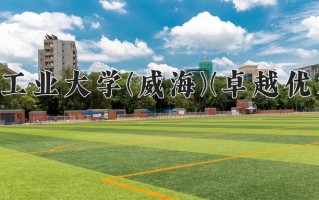 2024年哈尔滨工业大学(威海)(卓越优才计划)录取分数线，新疆最低565分