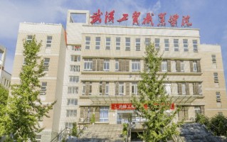 武汉工贸职业学院学费多少钱一年：9000-11800元/年（2025填报参考）