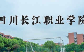 2024四川长江职业学院录取分数线：浙江最低316分