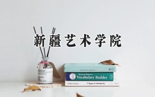 2024新疆艺术学院录取分数线：宁夏最低404分
