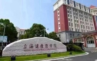 2024上海健康医学院录取分数线，重庆录取最低分519