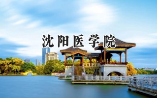 2024沈阳医学院录取分数线：天津最低510分