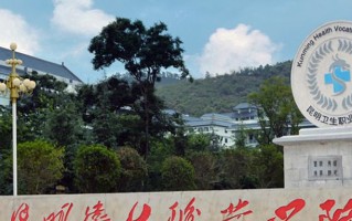 2024昆明卫生职业学院录取分数线，重庆录取最低分180