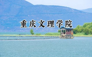 重庆文理学院2024在内蒙古录取分数线是多少？最低409分/最高478分