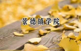 景德镇学院2024在山东录取分数线是多少？最低474分/最高524分