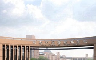 2024湖南外国语职业学院录取分数线，重庆录取最低分180