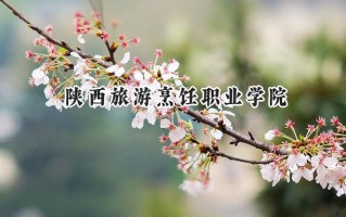 2024陕西旅游烹饪职业学院录取分数线：陕西最低152分